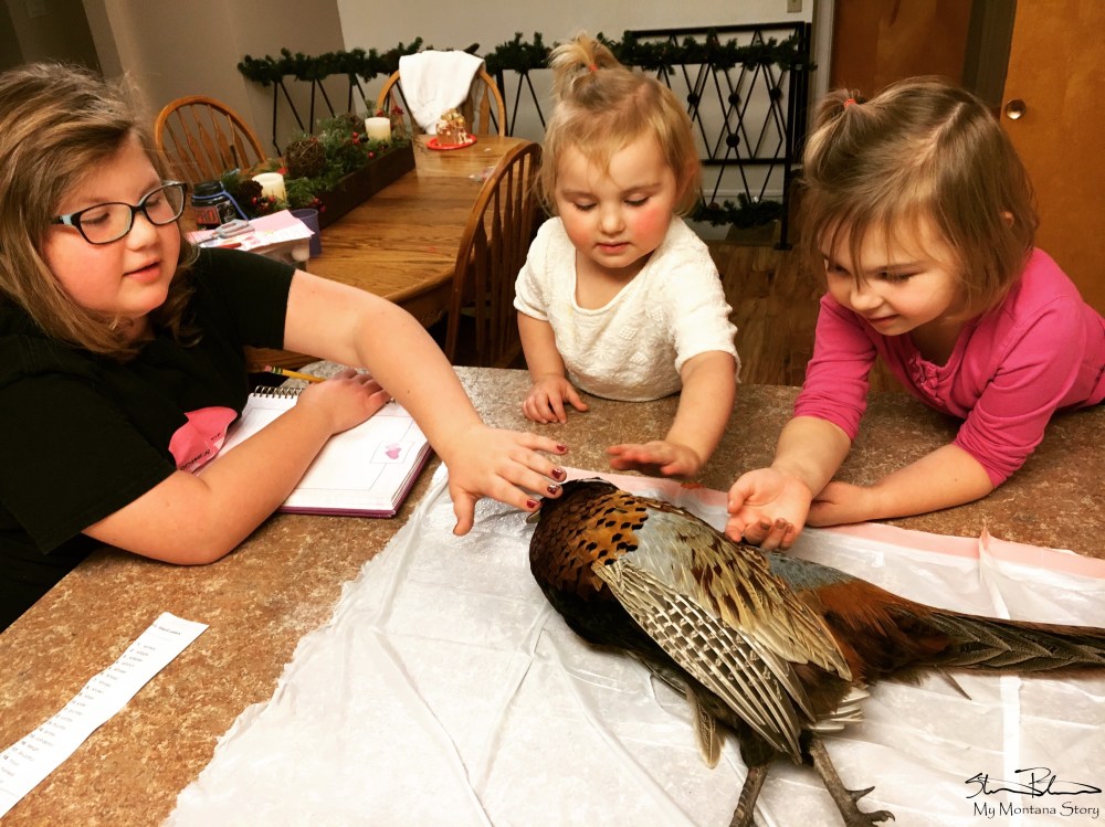 feathers to fingernails 2S